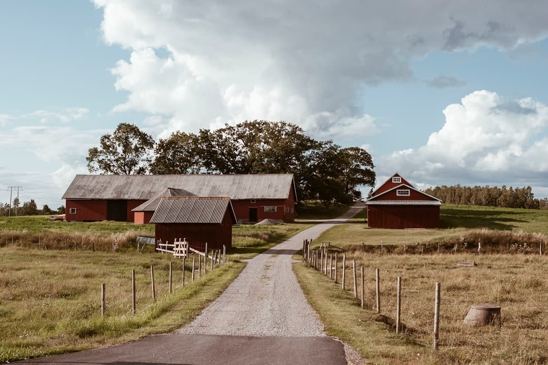 Grusväg mellan röda lantbruksbyggnader i Östergötland.