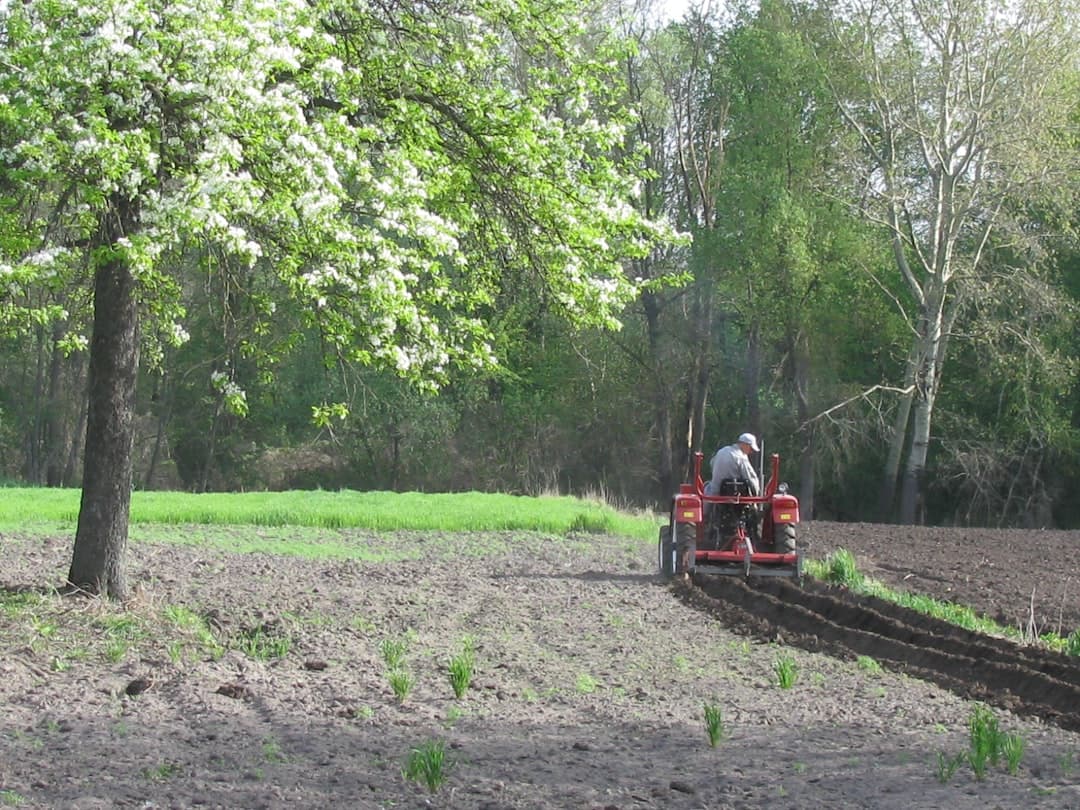 Traktor vid skogsbrynet plöjer en åker i vårljus.